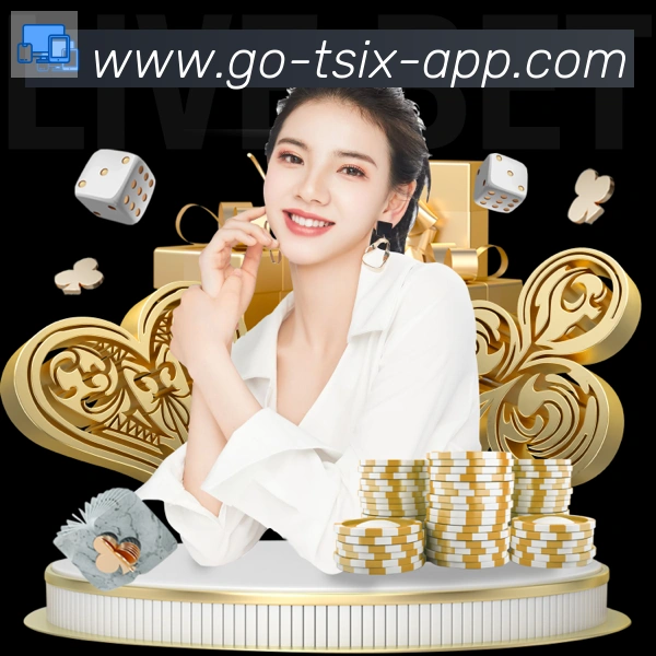6t体育服务体系