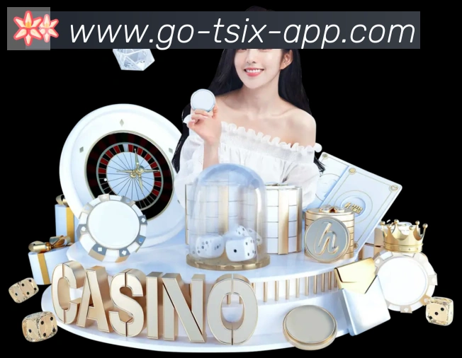 6t体育全站App